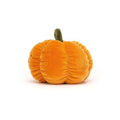 Peluche di zucca vegetale vivace